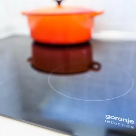 Apartamento Penthouse And Piano Nobile Prkg Wifi Garden Near Away From Roads